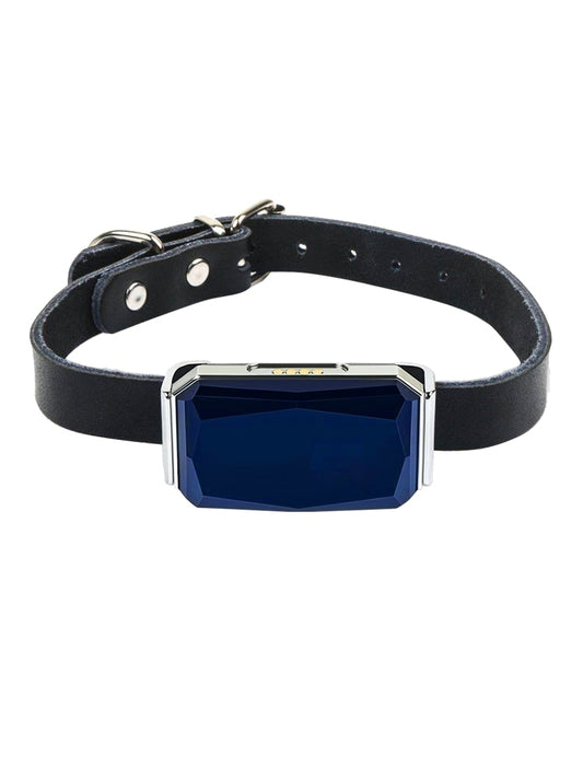 Pet Collar Tracker